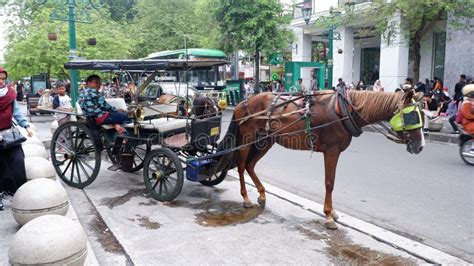 明孝陵怎麼坐車?從交通角度來看，除了公共交通工具外，還有哪些非傳統的交通方式可供選擇？