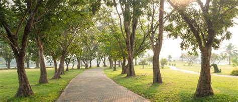 玉合公園怎麼樣？漫步其中，感受綠意盎然與人文之魅